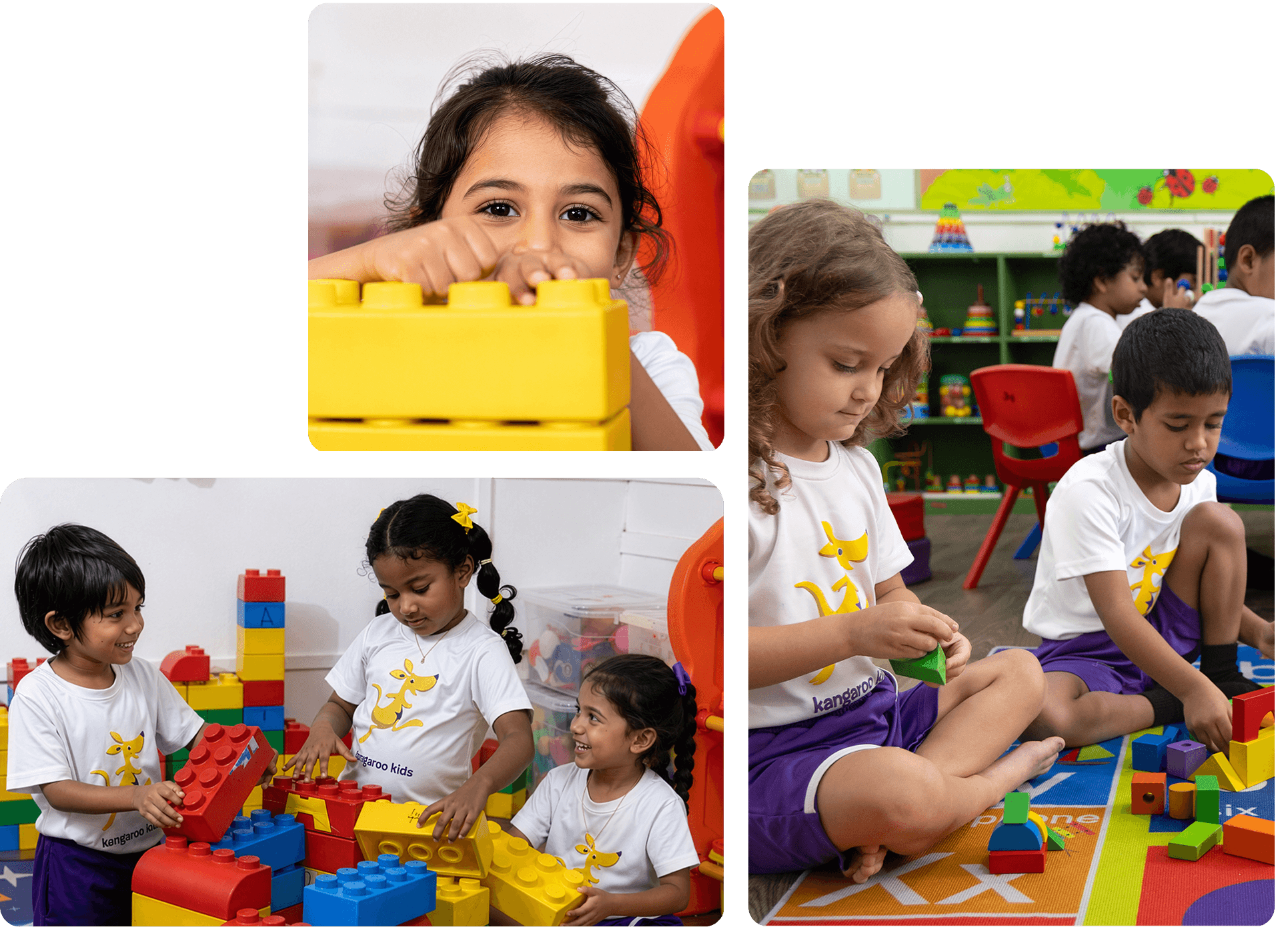 curriculum-banner